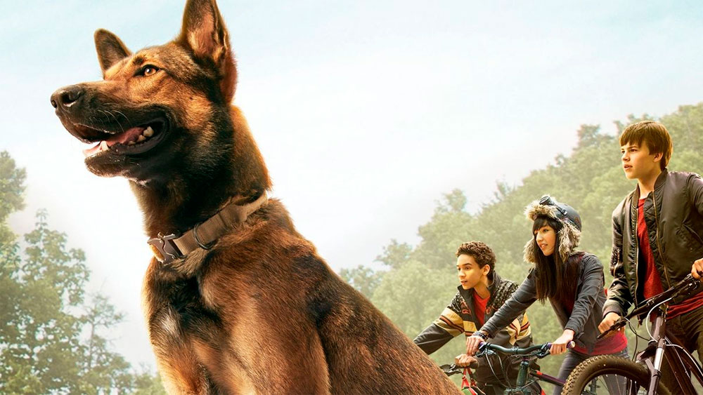 10 фильмов про собак, от которых вам сразу захочется пойти и обнять своего питомца